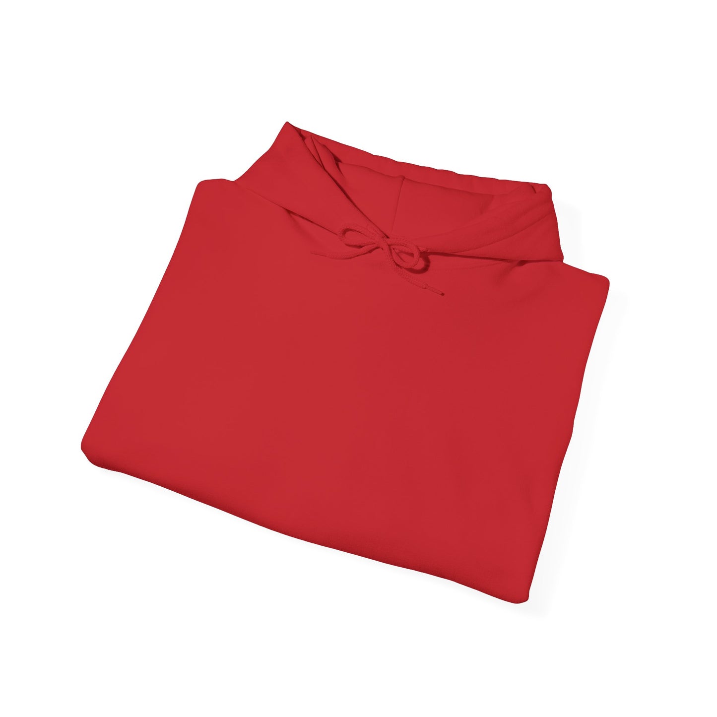 Hoodie — "Too Many Books, Not Enough Time" Graphic Reading Hoodie