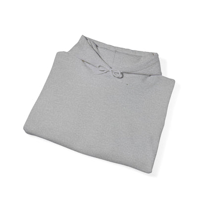 Hoodie — "Too Many Books, Not Enough Time" Graphic Reading Hoodie