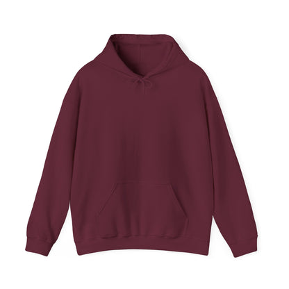 Hoodie — "Too Many Books, Not Enough Time" Graphic Reading Hoodie